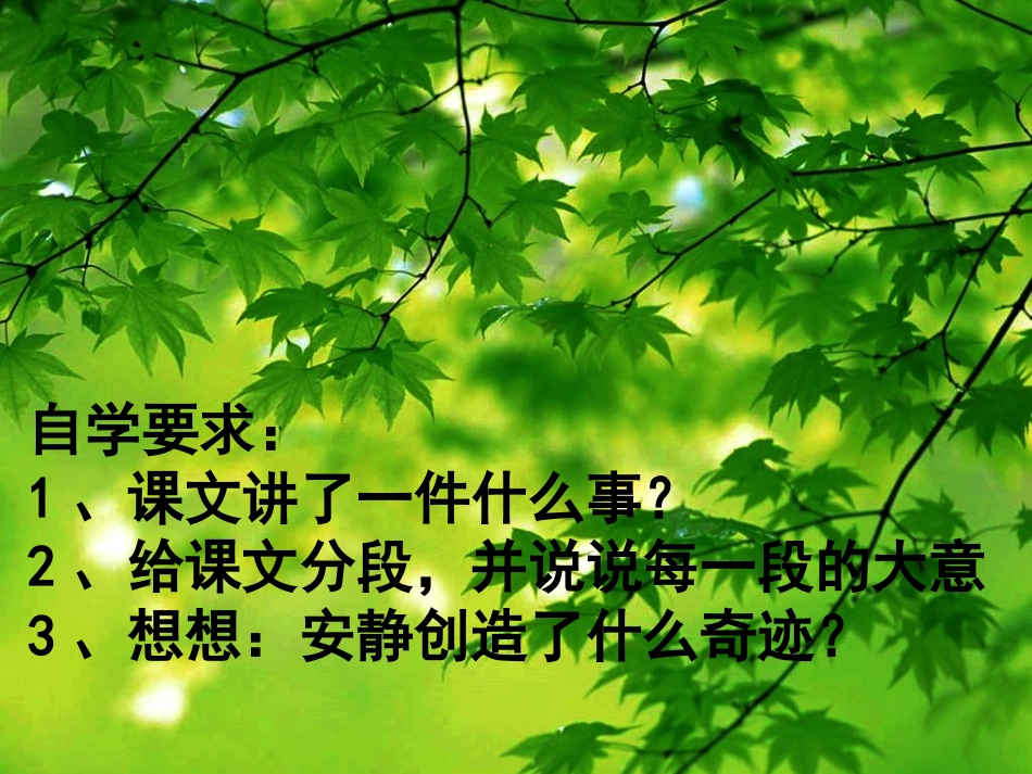 触摸春天课件_第3页