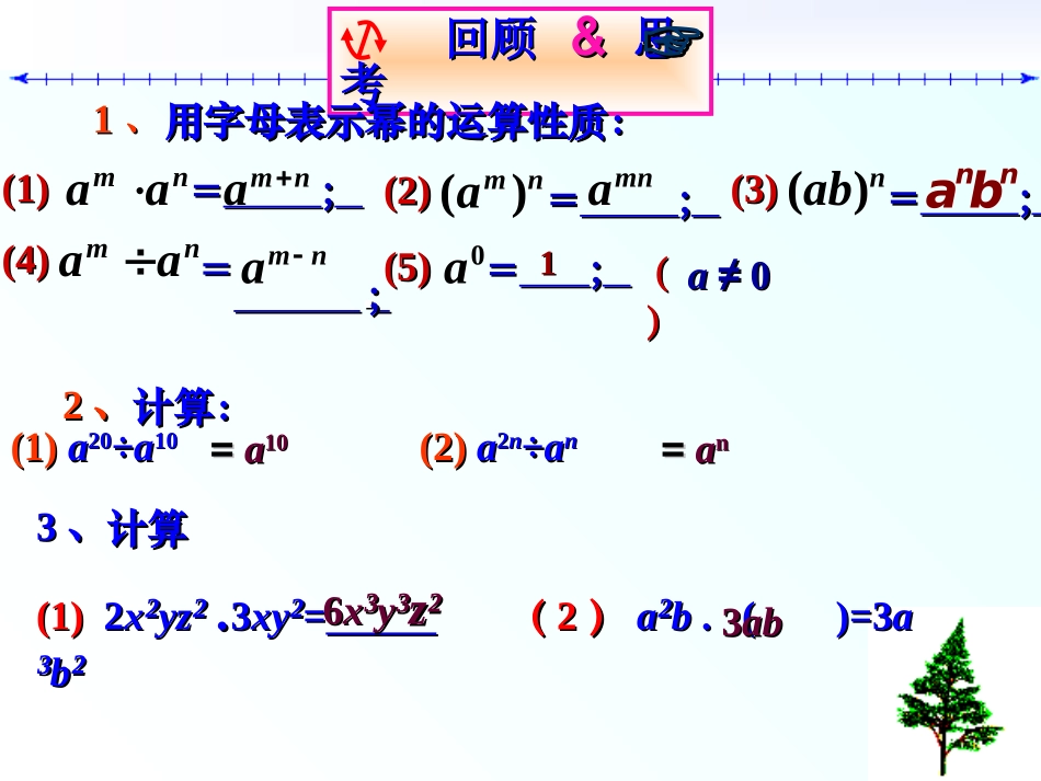 整式的乘法四_第2页