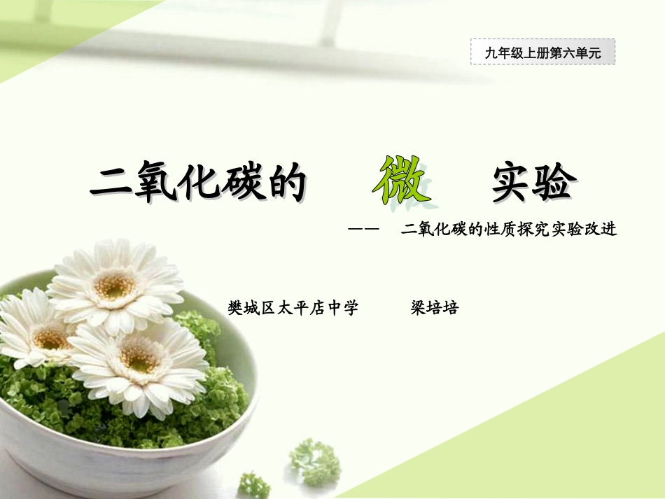 二氧化碳实验改进_第1页