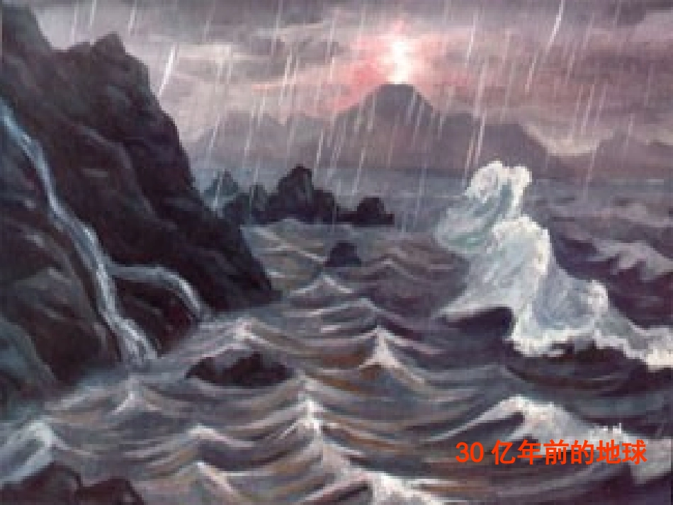 初中生物人教版-生物的特性3_第3页