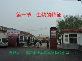 初中生物人教版-生物的特性3