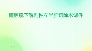 腹腔镜下解剖性左半肝切除术课件