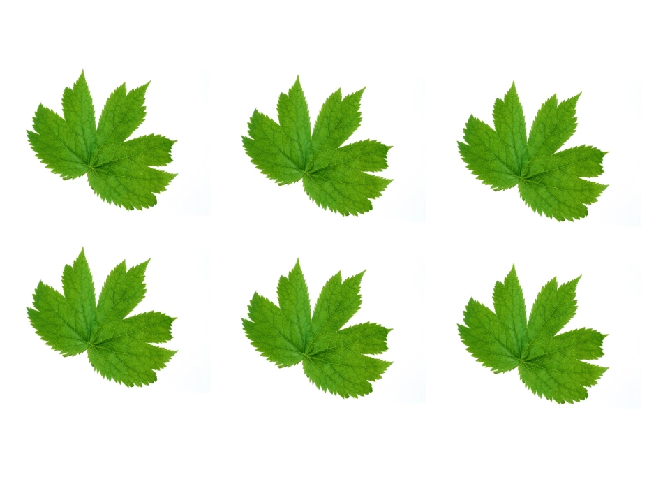 人教版小学一年级语文一年级下册识字32_第2页