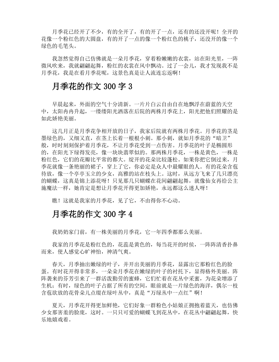 月季花的作文300字_第2页
