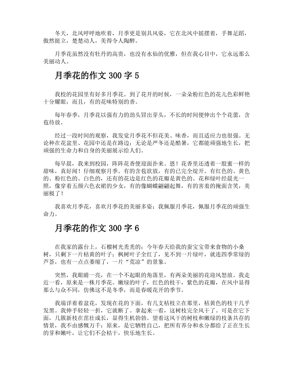 月季花的作文300字_第3页