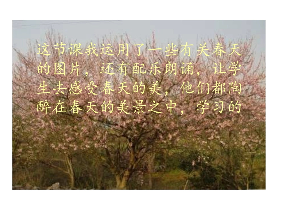 《春》数字故事（教学反思）_第2页