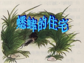 蟋蟀的住宅课件