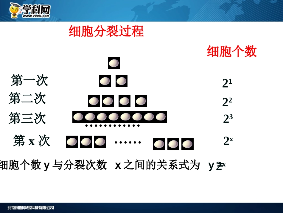 指数函数的图象及其性质_第3页