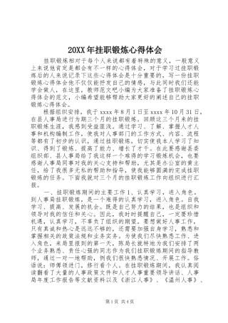 20XX年挂职锻炼心得体会