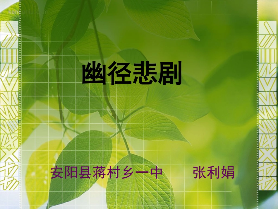 幽径悲剧我1_第1页