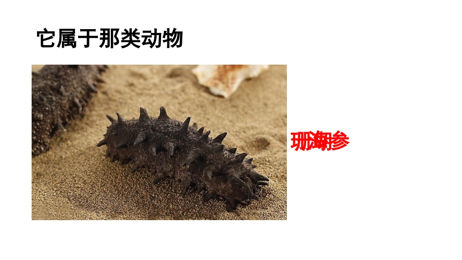 种类繁多的动物_第2页