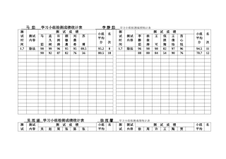 学习小组检测成绩统计表