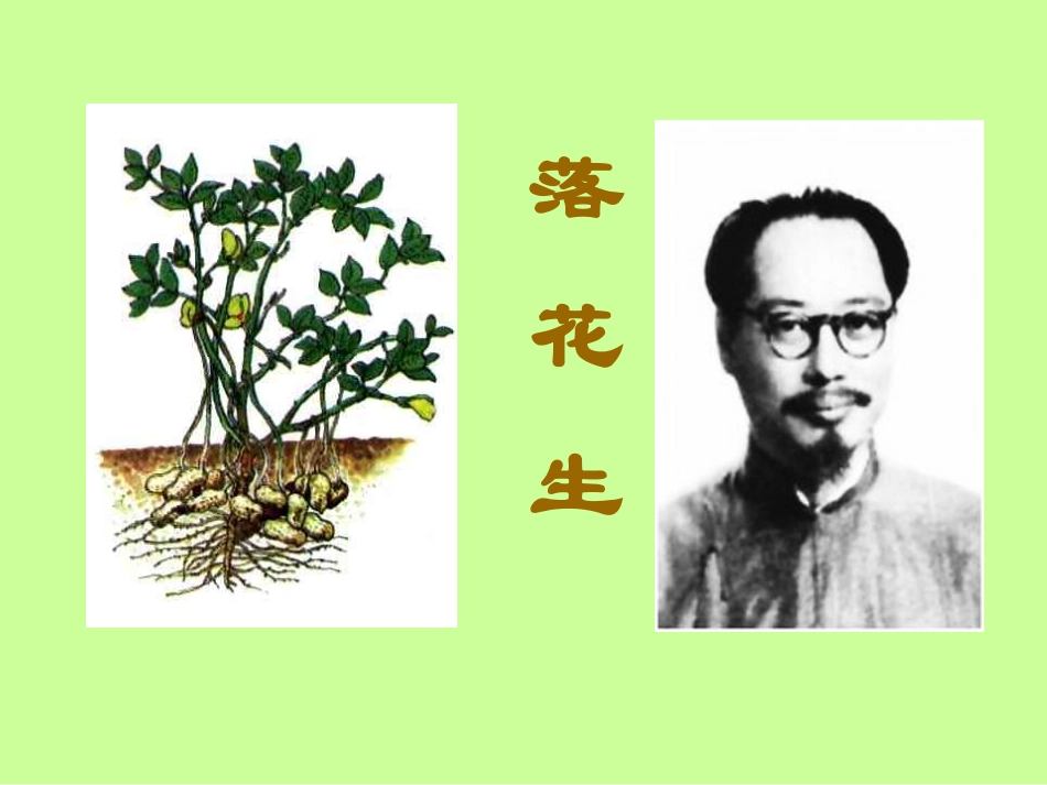 《落花生》课件_第2页