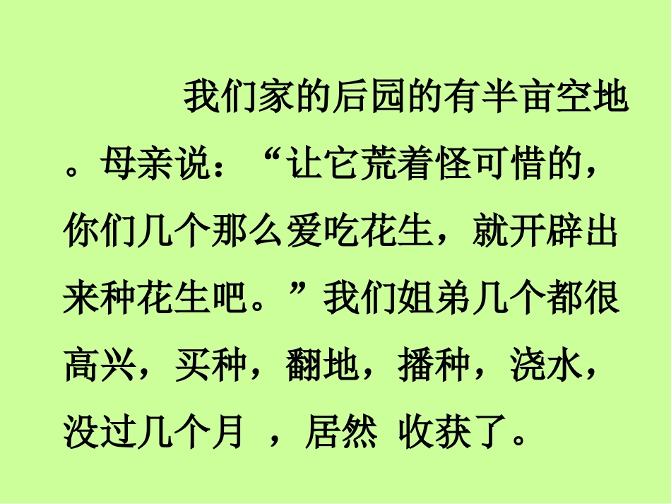 《落花生》课件_第3页