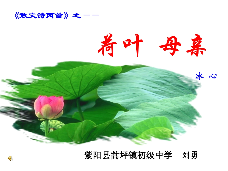 《荷叶母亲》课件_第2页