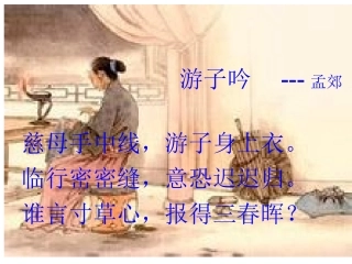 《荷叶母亲》课件