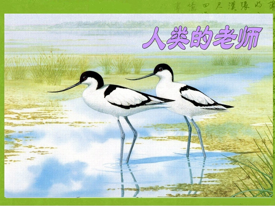 语文S版四年级上册24、人类的老师_第1页