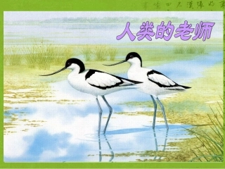 语文S版四年级上册24、人类的老师