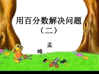 用百分数解决问题二