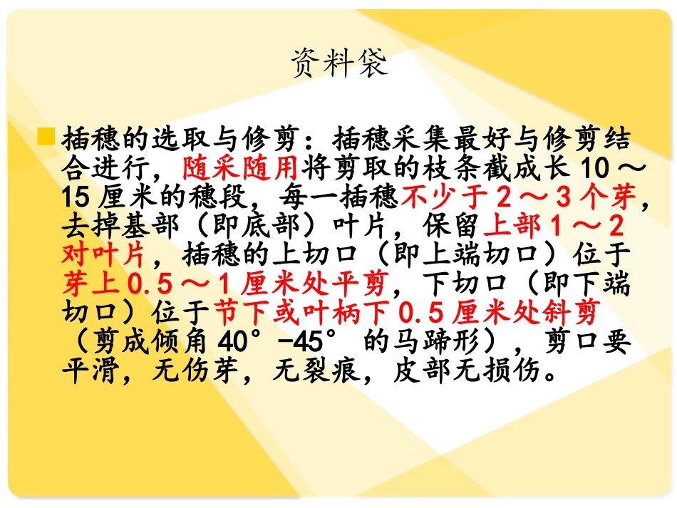 黄杨的扦插(2)_第3页
