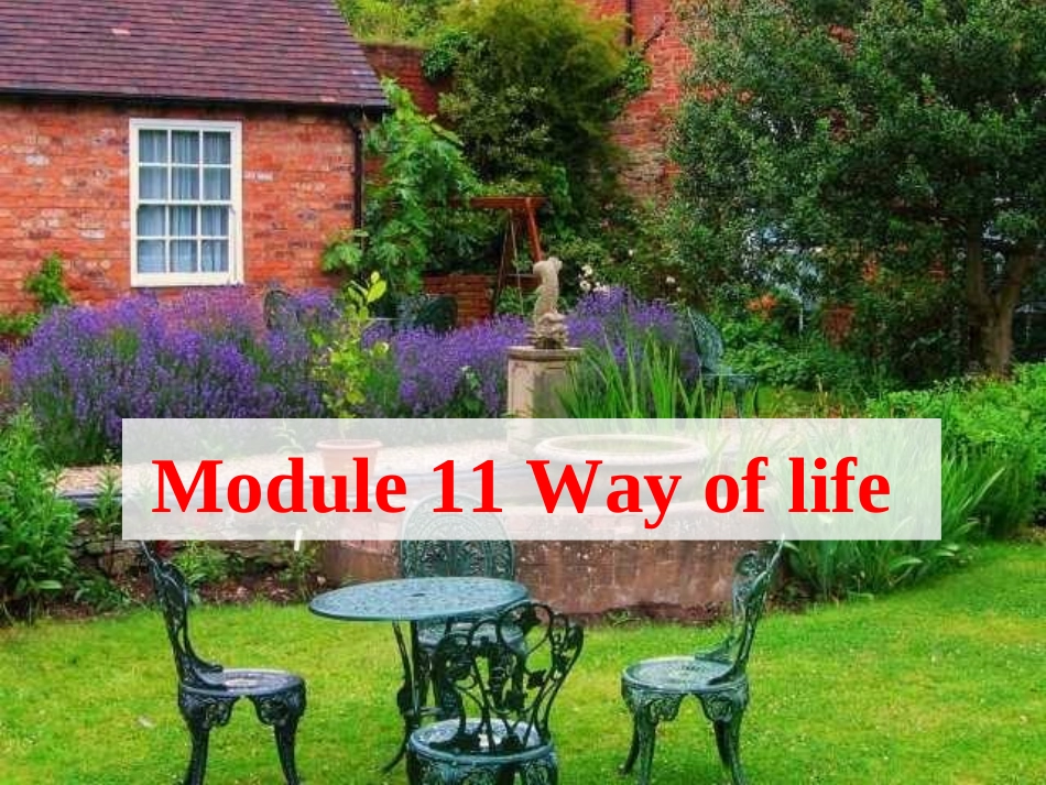 2013年秋外研版八年级上Module11Unit2_In_England__you_usually_drink_tea_with_milk_第2页