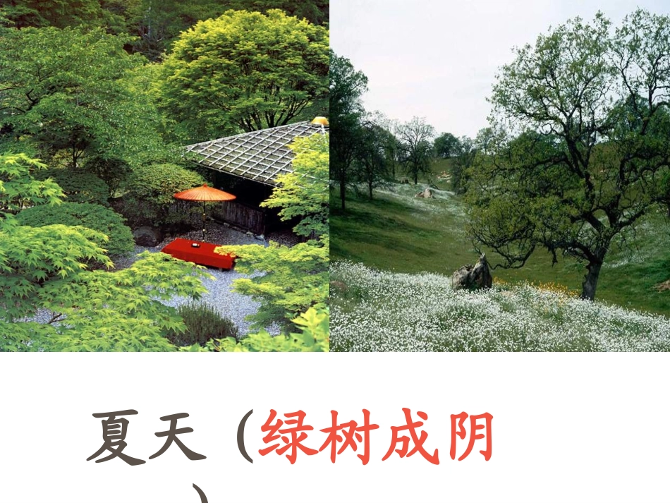 《巨人的花园》课件 (2)_第3页