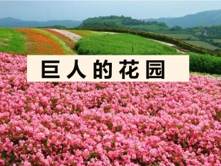《巨人的花园》课件 (2)