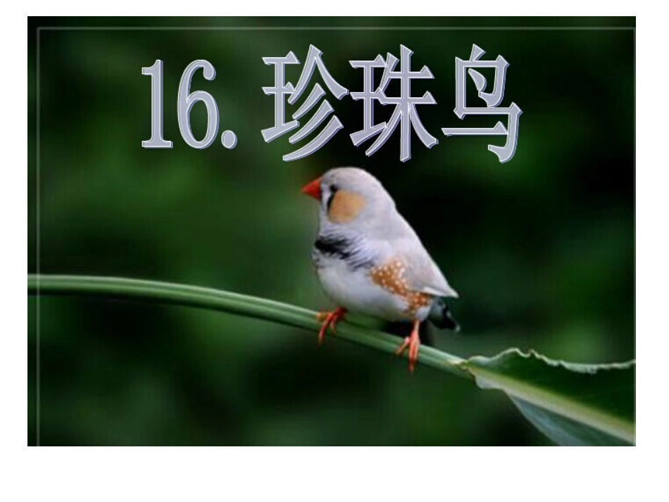 《珍珠鸟》第一课时_第2页
