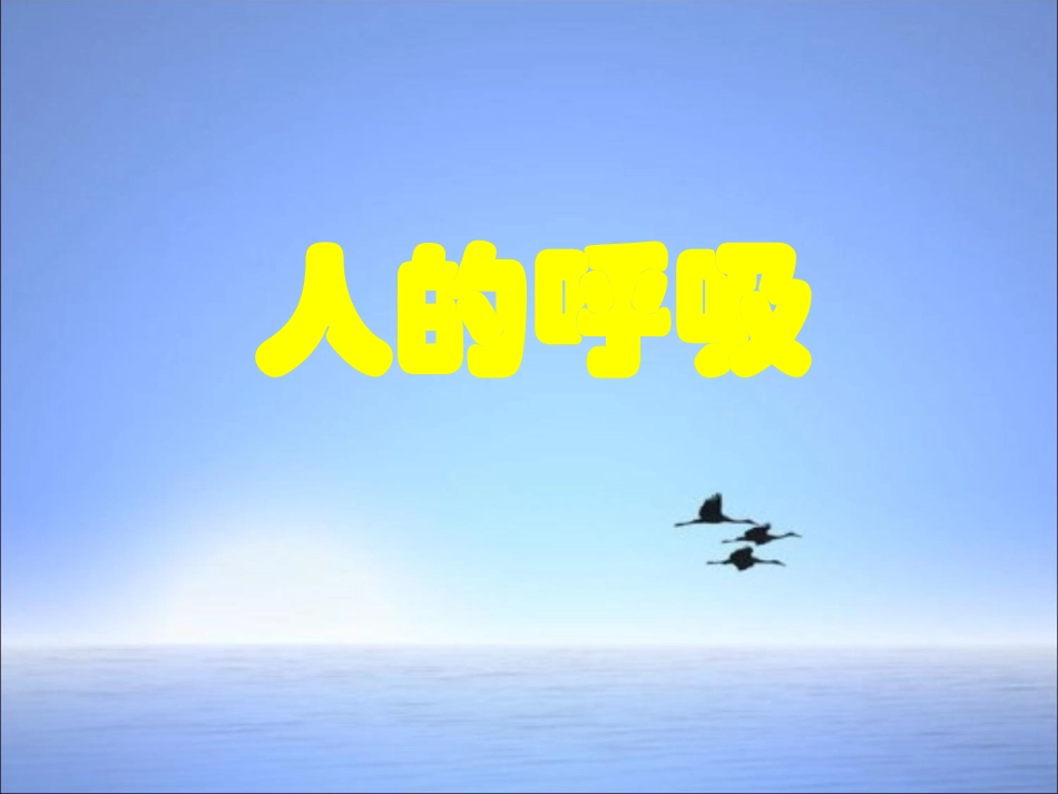公开课课件人体的呼吸（复习课件）人教版_第1页