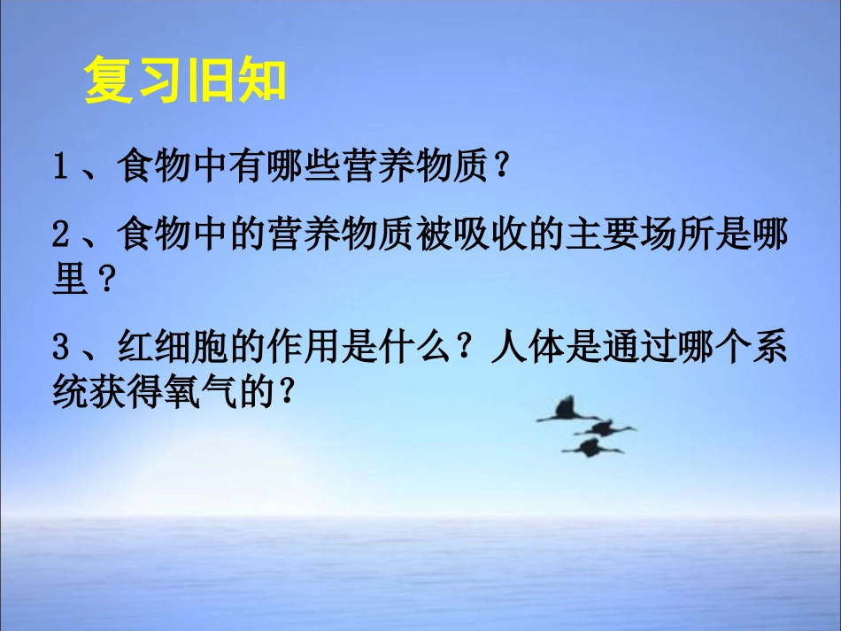 公开课课件人体的呼吸（复习课件）人教版_第2页