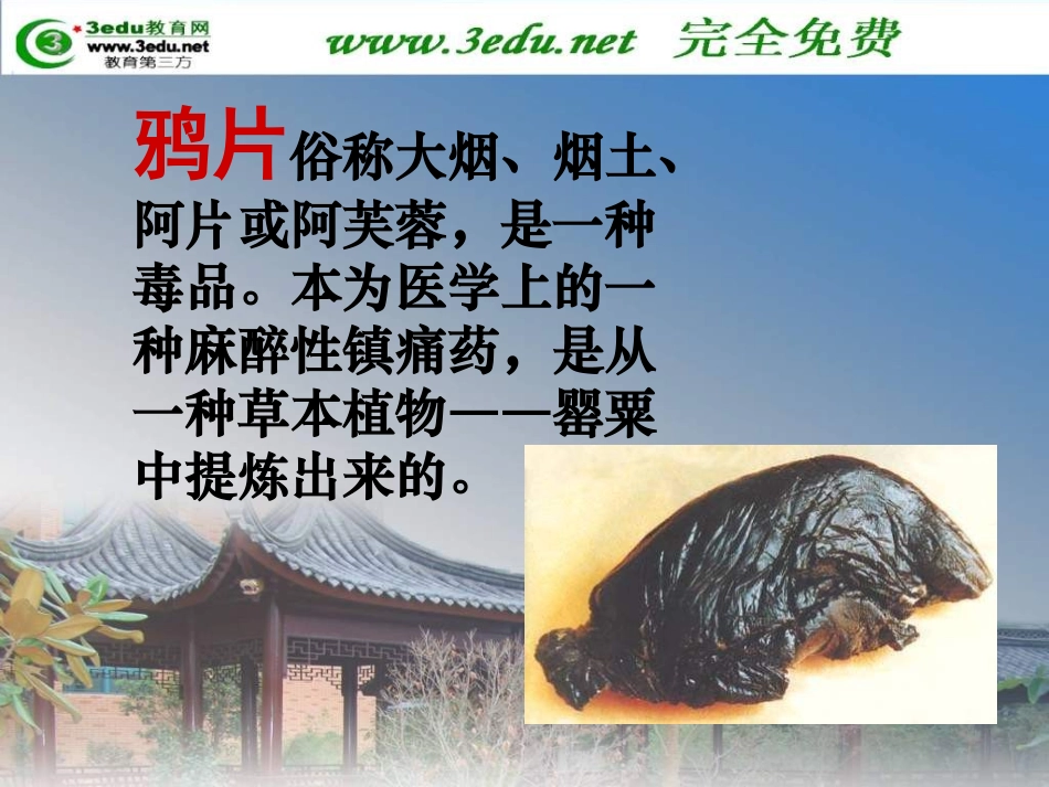 八年级历史鸦片战争 (2)_第2页