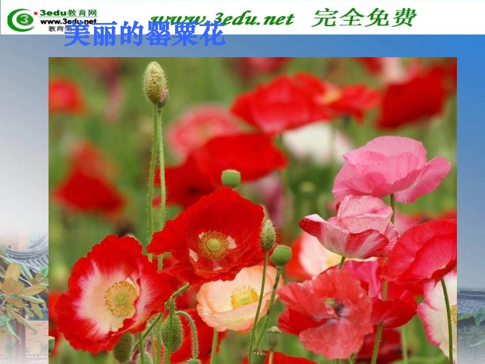 八年级历史鸦片战争 (2)_第3页