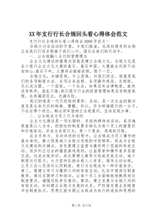 XX年支行行长合规回头看心得体会范文