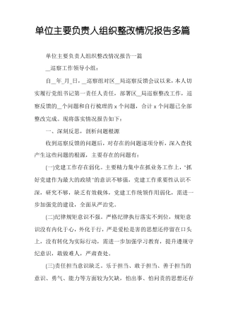 单位主要负责人组织整改情况报告多篇