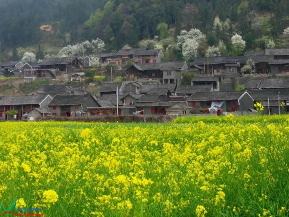 四（下）触摸春天_第3页