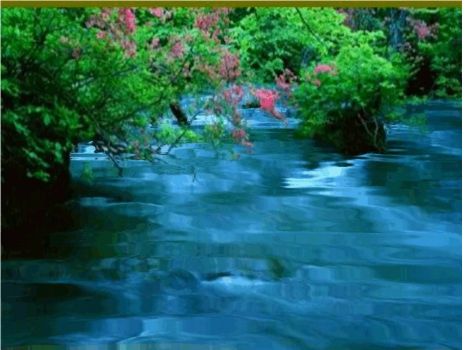 水是怎么样的？_第3页