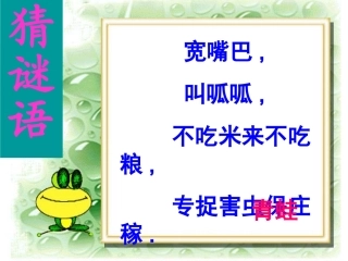 海花保护有益的小动物