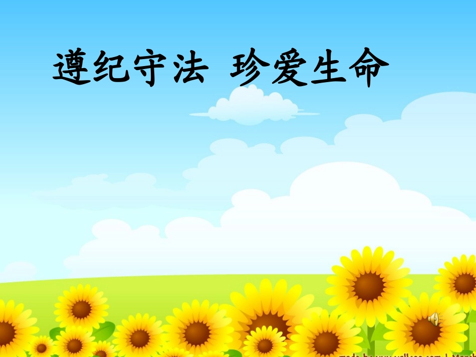 遵纪守法，珍爱生命_第1页