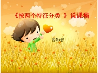 按两个特征分类