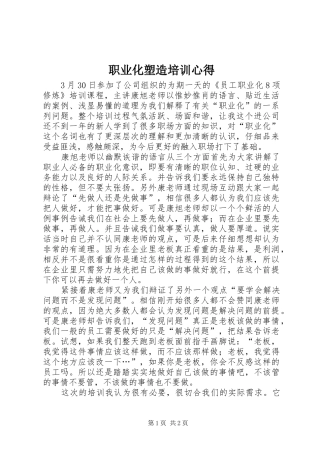 职业化塑造培训心得