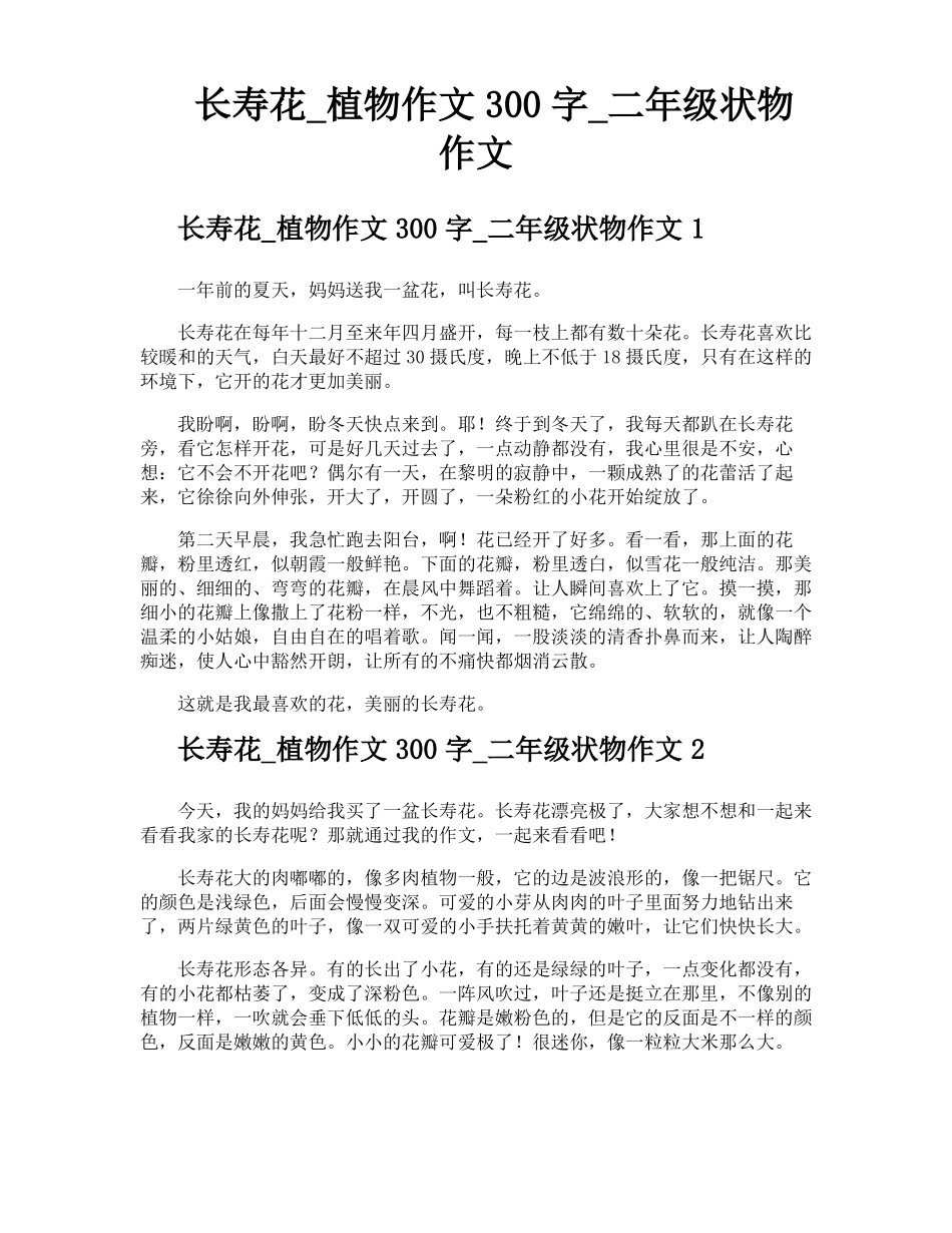 长寿花植物作文300字二年级状物作文_第1页
