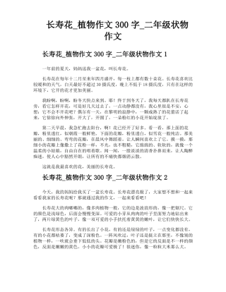 长寿花植物作文300字二年级状物作文