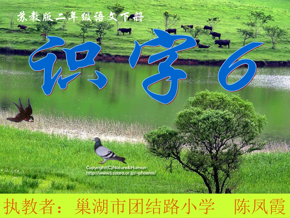 苏教版二年级语文下册识字6课件_第2页