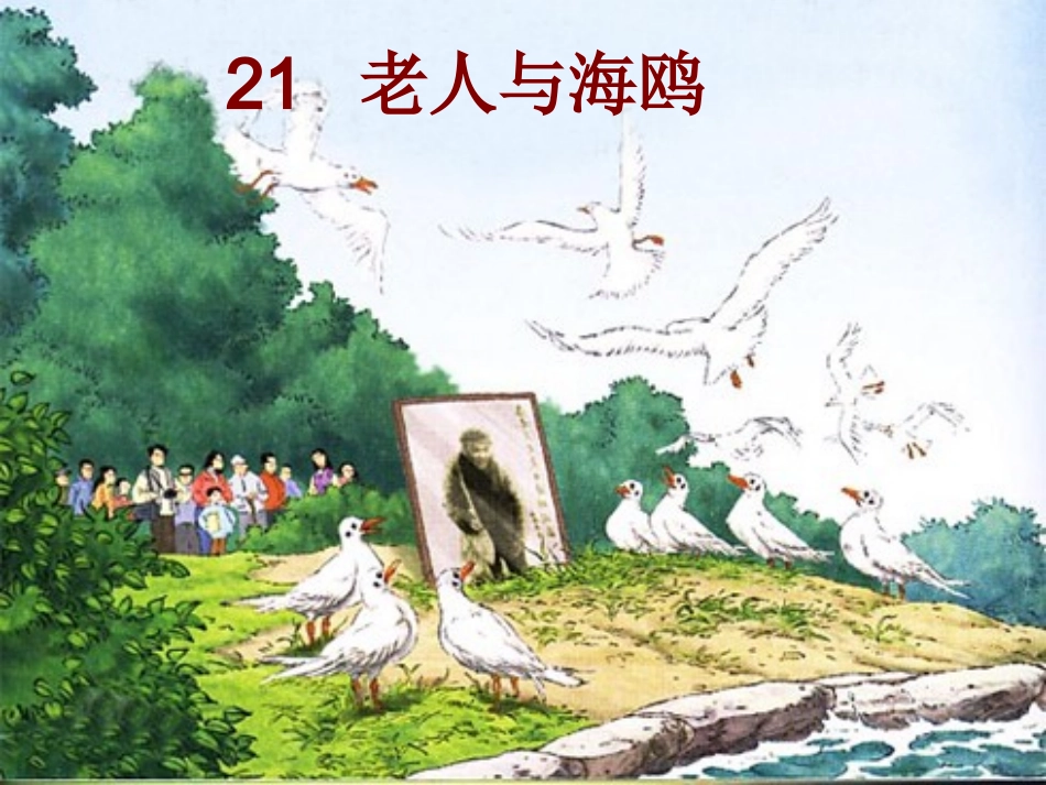 老人与海鸥课件简_第1页