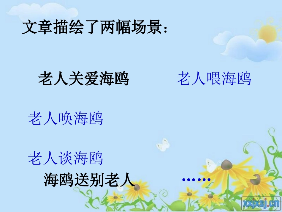 老人与海鸥课件简_第3页