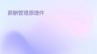 薪酬管理原理课件