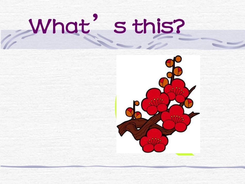 复习字母a-s8_第3页