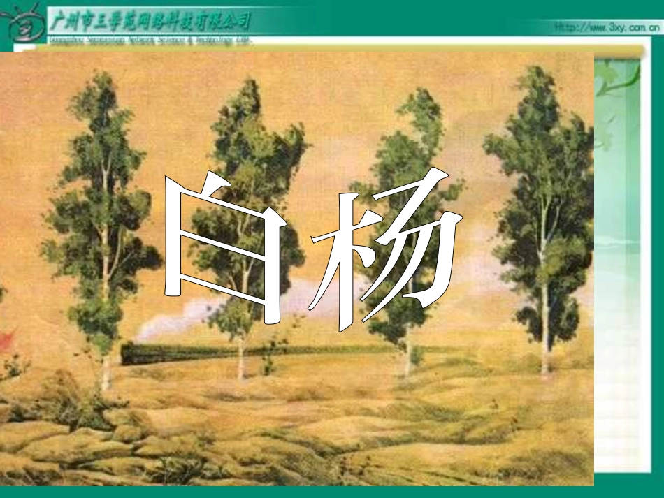 蔡霞《白杨》PPT课件_第1页