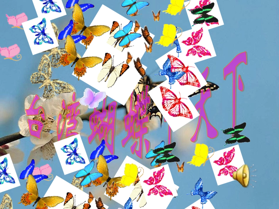 《台湾蝴蝶甲天下》修改本_第1页