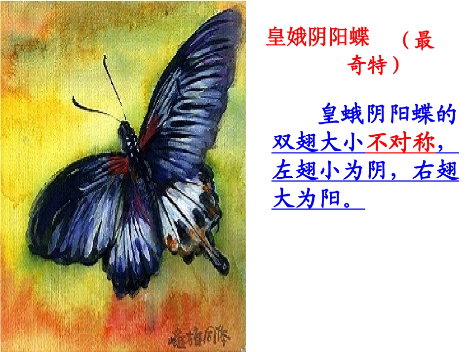 《台湾蝴蝶甲天下》修改本_第3页